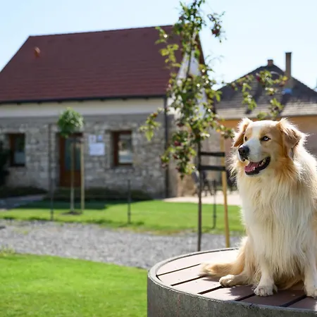 Madárdalos Kert és Casa de hóspedes Tokaj
